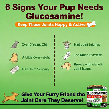 Youmile Hip & Joint Health Supplement For Dogs 120 Chews, Glucosamine Chondroitin MSM Dog Chews With Hyaluronic Acid, Liver Flavored Bone & Joint Support Supplement, For All Breeds