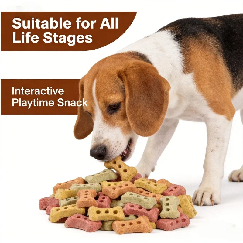 Bone-Shaped Biscuit Treats 240g Crunchy Delicious Snped Biscuit Treats 240g Crunchy Delicious Snack for Dogs And Cats Pet Treats