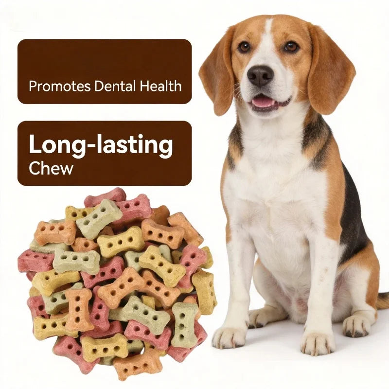 Bone-Shaped Biscuit Treats 240g Crunchy Delicious Snped Biscuit Treats 240g Crunchy Delicious Snack for Dogs And Cats Pet Treats