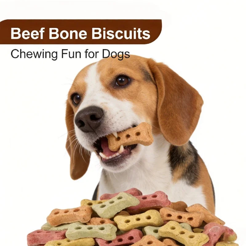 Bone-Shaped Biscuit Treats 240g Crunchy Delicious Snped Biscuit Treats 240g Crunchy Delicious Snack for Dogs And Cats Pet Treats
